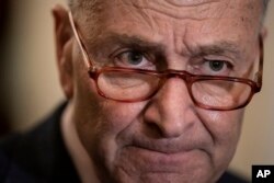 Senate Minority Leader Chuck Schumer, D-N.Y., speaks to reporters at the Capitol in Washington, April 9, 2019.