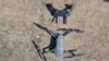 Drone မှုနဲ့ဖမ်းခံရသူ သတင်းထောက်တွေ မိသားစုနဲ့တွေ့ခွင့်မရသေး