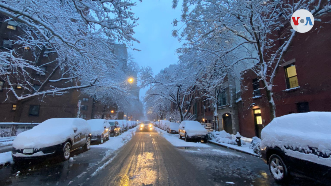 en que tiempo cae nieve en new york