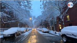 En Fotos: La primera nevada de 2022 en Nueva York