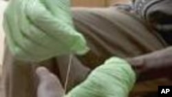 Guinea Worm Eradication