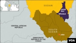 South Sudan Defense Minister Kuol Manyang blames rebels loyal to Riek Machar for an attack in oil-rich Upper Nile state on Monday, Feb. 16.
