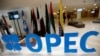 رویترز: با پیشنهاد جدید به ایران، اوپک به توافق برای محدودیت تولید نزدیک‌تر شد
