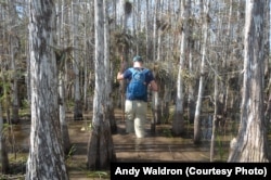 Hiking through the mud on a slough slog is a highlight of a trip to the Everglades.