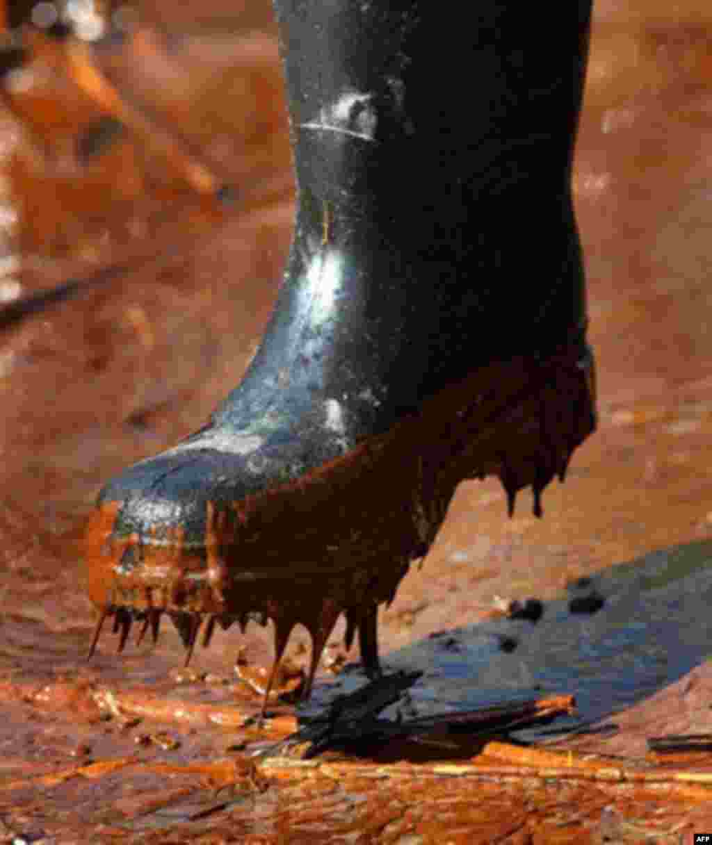 A Greenpeace activist steps through oil on a beach along the Gulf of Mexico near Venice, Louisiana, 20 May 2010. (AFP Image)