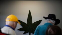 More Older Americans Using Marijuana to Treat Pain, Other Conditions