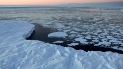 남극 빙붕 해빙, 해안가 주민 위협