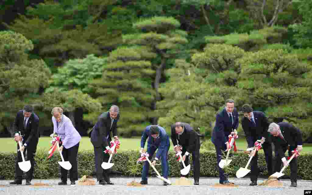 (L to R) Italian Prime Minister Matteo Renzi, German Chancellor Angela Merkel, President Barack Obama, Japanes Prime Minister Shinzo Abe, French President Francois Hollande, British Prime Minister David Cameron, Canadian Prime Minister Justin Trudeau and European Commission President Jean-Claude Juncker participate in a tree-planting ceremony on the grounds at Ise-Jingu Shrine in the city of Ise in Mie prefecture on the first day of the G-7 leaders summit.