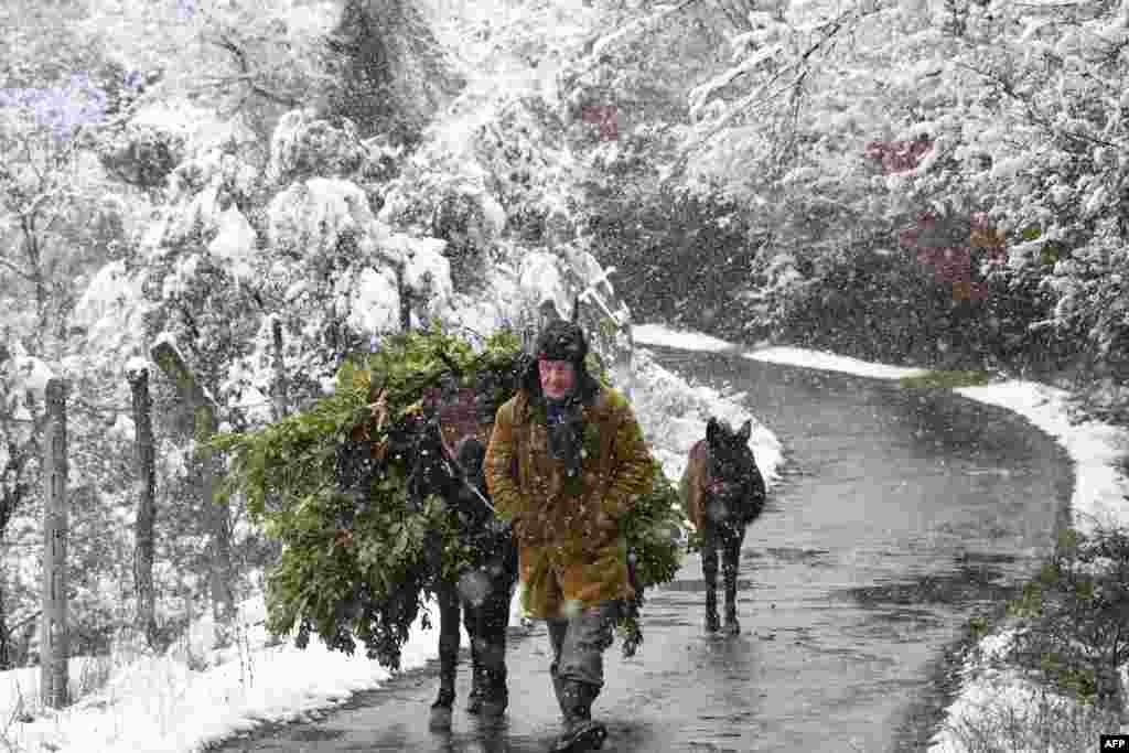مردی در حال قدم زدن به همراه اسبش در زیر بارش سنگین برف در نزدیکی یک روستا در پایتخت آلبانی &nbsp;