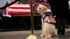 George H.W. Bush's Service Dog Sully Stays by His Side