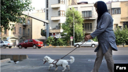 چندی پیش سگ گردانی در پایتخت ایران ممنوع اعلام شد