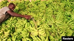 A vendor displays bananas at his stall in Somalia capital Mogadishu.