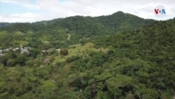VIDEO: Imágenes aéreas de la selva del Tapón del Darién 