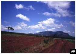 Farmland in Zimbabwe