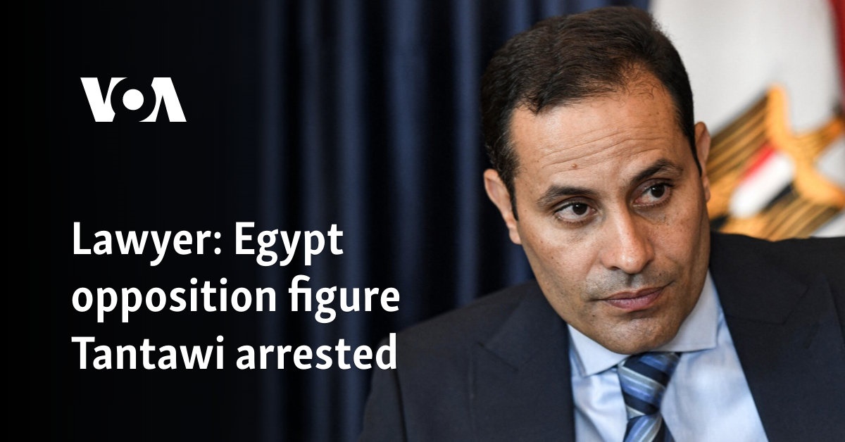 Lawyer: Egypt opposition figure Tantawi arrested