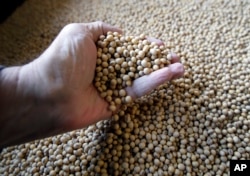 Sorted soybeans are ready for shipment and planting at Taylor Seed Farm near White Cloud, Kansas, April 5, 2018.