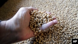 The U.S. is a major exporter of soybean to China but some farmers are concerned about the trade situation between the sides.