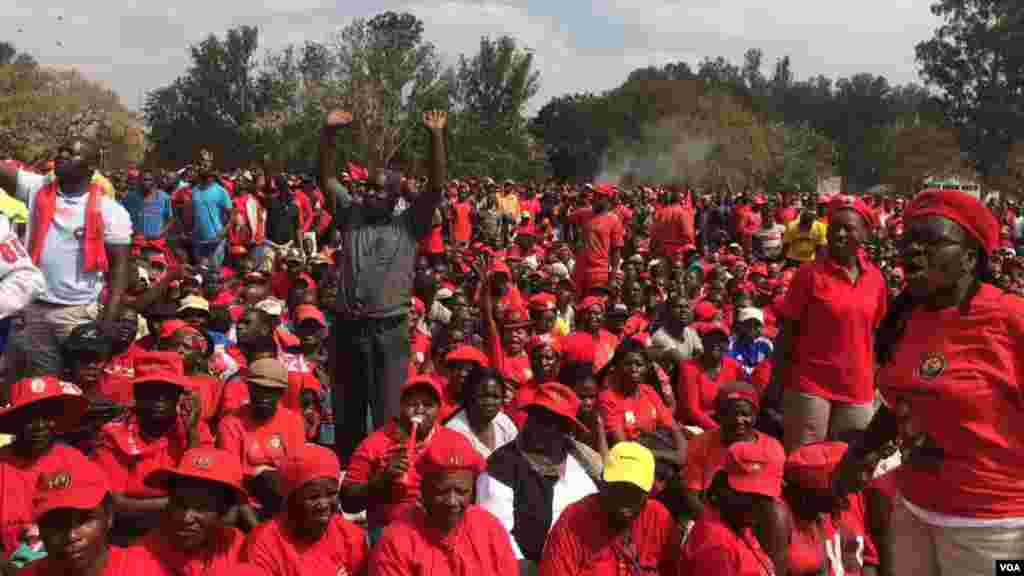 MDC Alliance