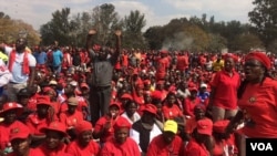 MDC Alliance