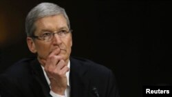 Tim Cook es presidente ejecutivo de Apple desde agosto de 2011.