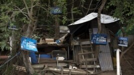 Cats rest near a shelter built for them by volunteers from Animal Heart Protectors on Furtada Island, popularly known as “Island of the Cats,” in Mangaratiba, Brazil, Tuesday, Oct. 13, 2020. (AP Photo/Silvia Izquierdo)