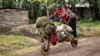 Thousands of Congolese Civilians Flee from Renewed Fighting