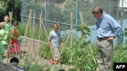 Các học sinh trồng rau trong một khu vườn của nhà trường
