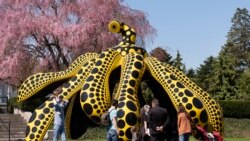 A family walks by one of Yayoi Kusama's pumpkin sculptures at the New York Botanical Garden, Thursday, April 8, 2021 in New York.