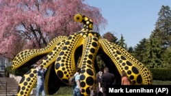 A family walks by one of Yayoi Kusama's pumpkin sculptures at the New York Botanical Garden, Thursday, April 8, 2021 in New York.