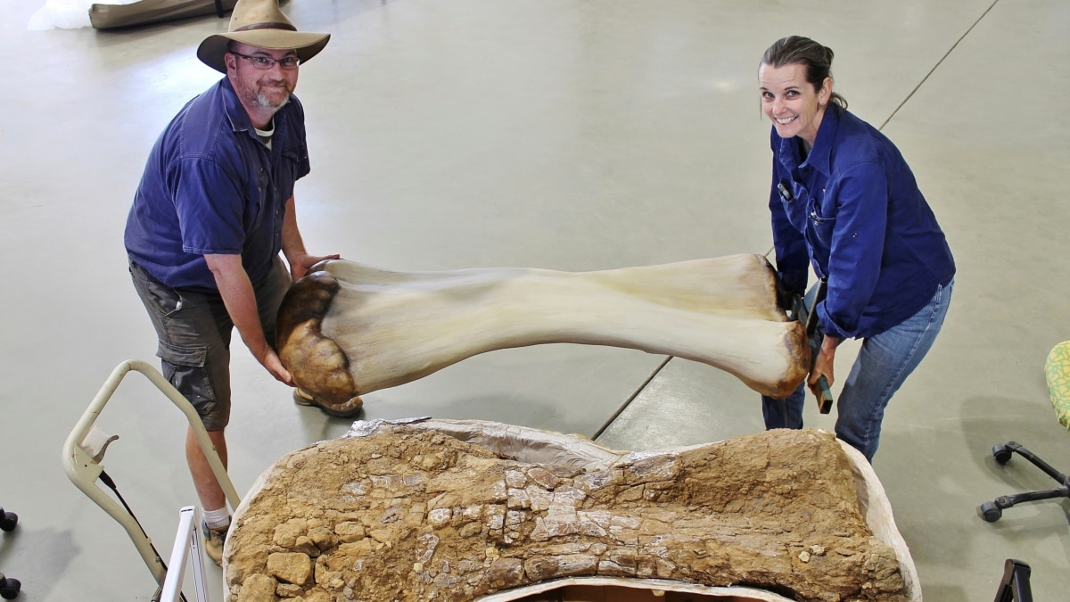 Dinozauru kauli tika atrasti Austrālijā, un tie ir vieni no lielākajiem