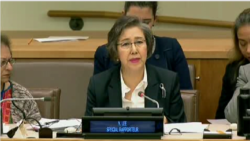 ကုလလူ့အခွင့်အရေး အထူးကိုယ်စားလှယ် မြန်မာ့အရေးတင်ပြ