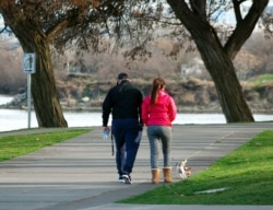 Couple walking dog