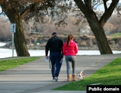 A couple walks their dog.