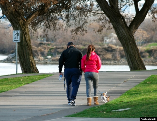 Couple walking dog