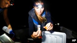 Kira Hughes, a coral researcher at the University of Hawaii's Institute of Marine Biology, looks at a test tube with eggs and sperm from spawning coral in Kaneohe Bay, Hawaii on Aug. 7, 2021.