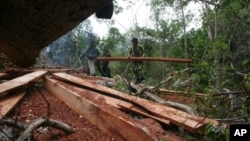 FILE - Rangers confiscate woods after a raid at an illegal logging site at Seulawah mountains in Aceh province, Indonesia, May 14, 2009.