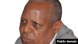 ዶ/ር መረራ ጉዲና