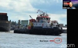 Anak ikan Pesut Mahakam berenang tidak jauh dari kapal pengangkut batu bara. 10 persen kematian pesut akibat tertabrak kapal. (Foto: Tangkapan Layar)