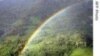 Saving Tropical Forests