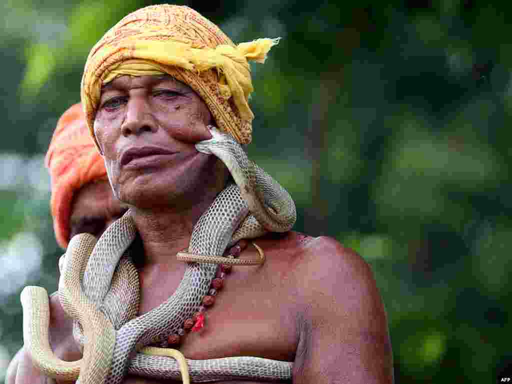 An Indian snake charmer poses with a snake during a festival on the occasion of Maa Mansa Puja at Dhalbhumgarh in east Singhbhum district of Jharkhand, Aug. 17, 2018.