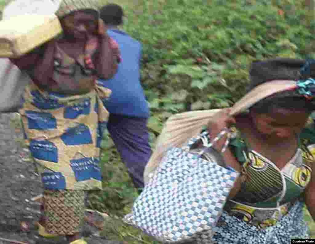 Wakimbizi wanaokimbia vita waelekea maeneo ya usalama