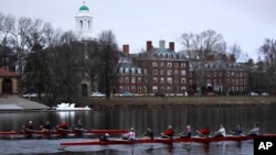 FILE - Rowers pass the campus of Harvard University as they move down the Charles River in Cambridge, Mass., March 7, 2017. 