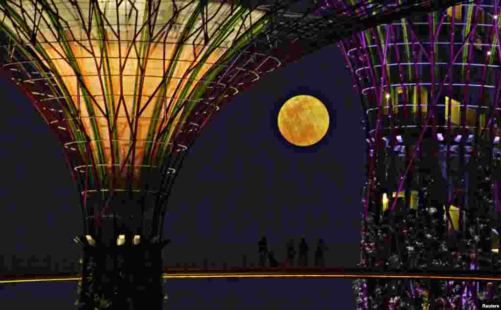 Tourists look at the rising &quot;super moon&quot; from the elevated skywalk of the Supertrees Grove at the Gardens by the Bay in Singapore. The largest full moon of the year, called the &quot;super moon,&quot; will light up the night sky this weekend. 