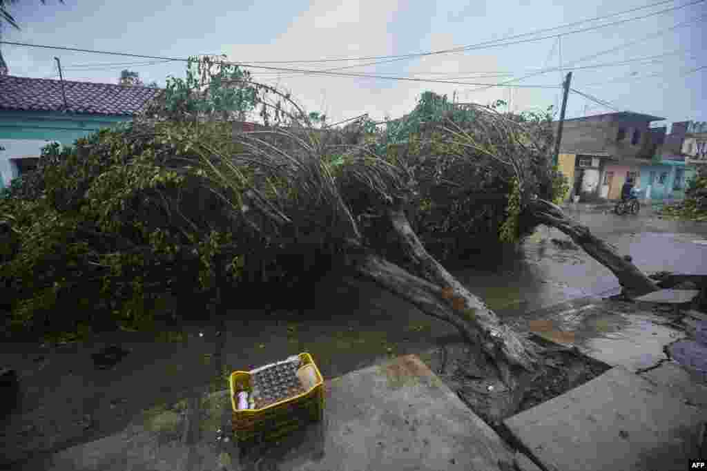 خسارات به جامانده در پی وقوع توفان ویلا در مکزیک