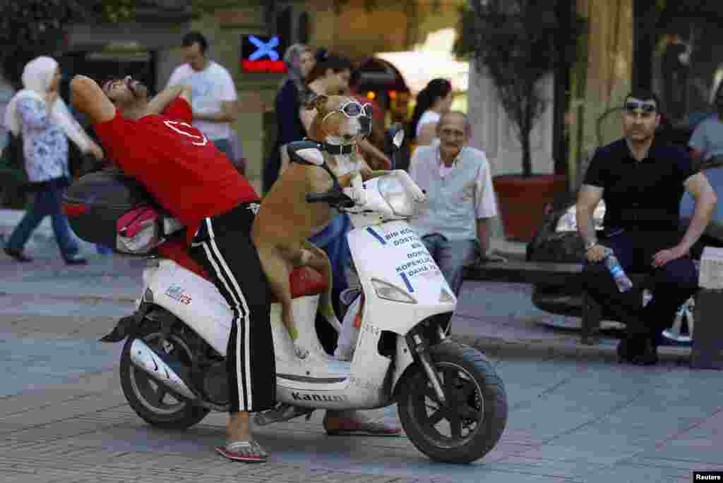 Một người đàn ông nghỉ ngơi khi ngồi với con chó của ông trên một xe gắn máy ở Istanbul, Thổ Nhĩ Kỳ.