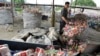 China Ban on Foreign Waste Creates Crisis for Recycling Businesses