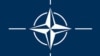 Proslava 9. januara: Ministarstvo odbrane BiH prihvatilo stav NATO