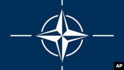 Iz NATO štaba kažu da su pripadnici Oružanih snaga položili zakletvu da će braniti ustavni poredak BiH