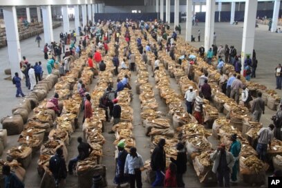 boka tobacco floors WHO Worried by High Rate of Schoolchildren Smoking in Zimbabwe