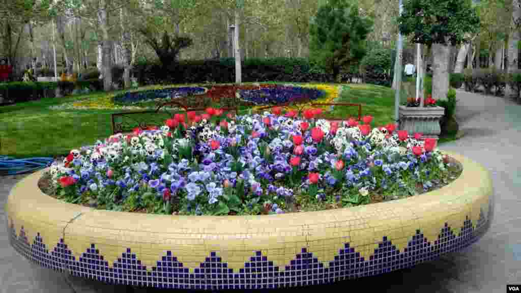 گل ‌های پارک لاله تهران عکس: کوروش آقایی (ارسالی شما)